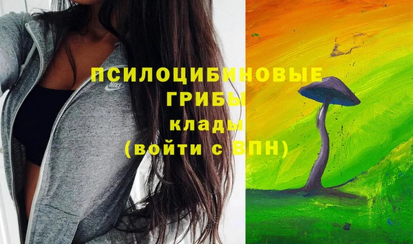 гидра Ханты-Мансийск
